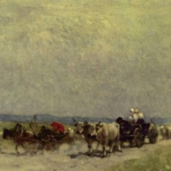 Coming home from the fair